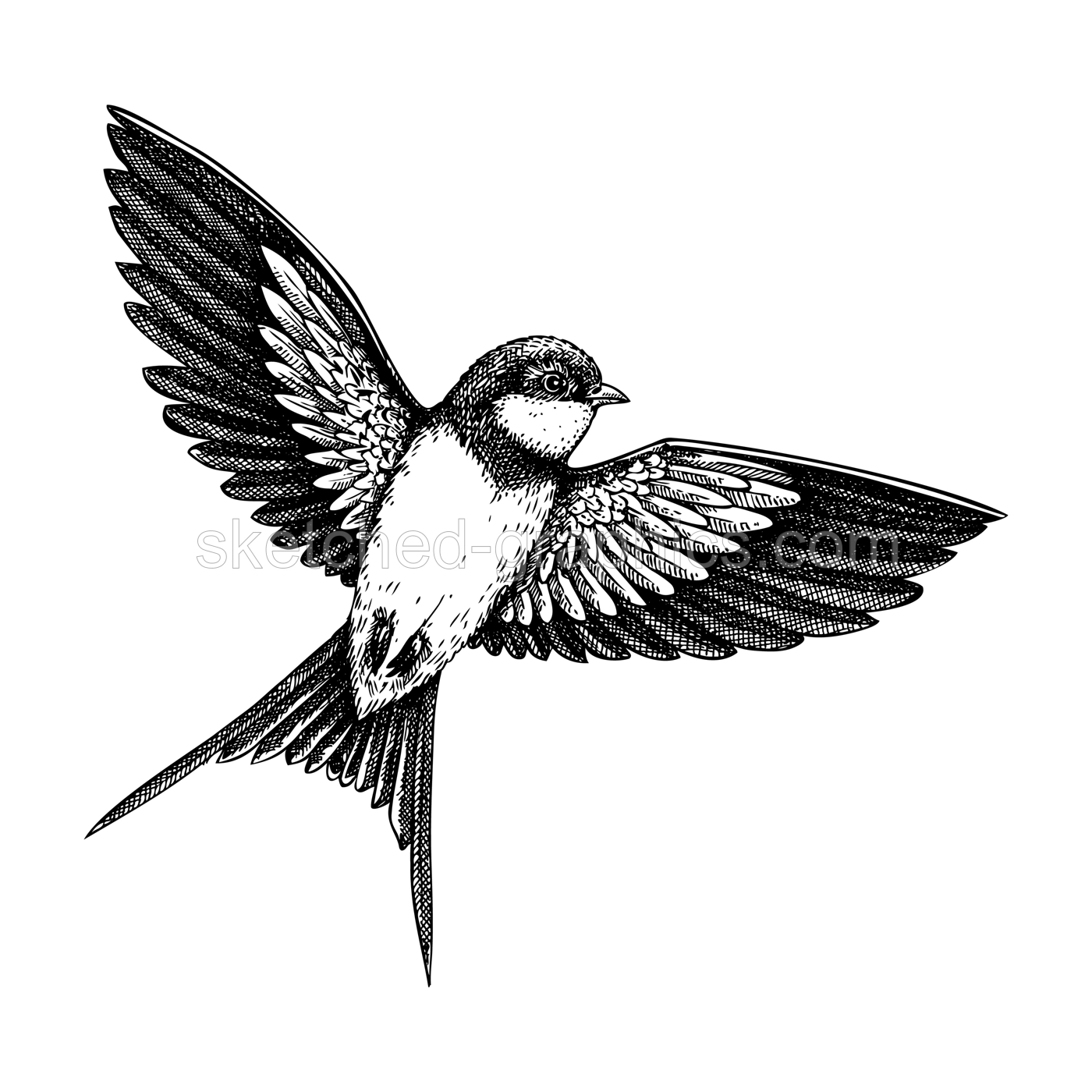 Decorative swallow bird sketch. Hand drawn vector illustration. Vintage flying bird. NOT AI generated Illustration
